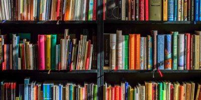 Mainz-Bingen: Bücherei³ empfiehlt das Glück