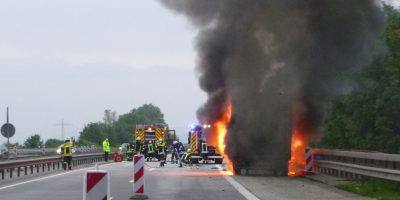 Mainz-Bingen: Olivenbäume auf Autobahn verbrannt