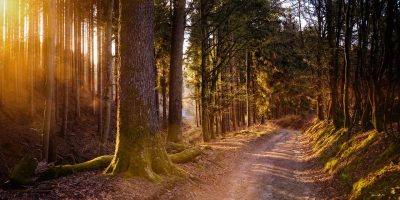 Bad Kreuznach: Naturpark Förderung in der Region