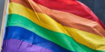 Rainbow Flag Gay Homosexual  - SatyaPrem / Pixabay