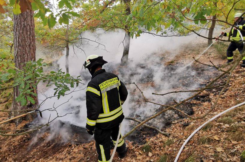 Flächenbrand in Lohrer Wald