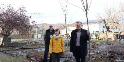 Mainz-Bingen: Dein Baum fürs Klima