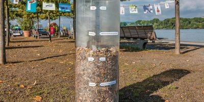 Mainz-Bingen: Ingelheimer Müllsammeltag geht in neue Runde