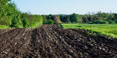 Mainz-Bingen: Bodenkurse für die Landwirtschaft