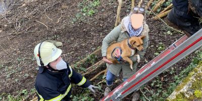 Bad Kreuznach: Feuerwehr rettet Hund und Halterin