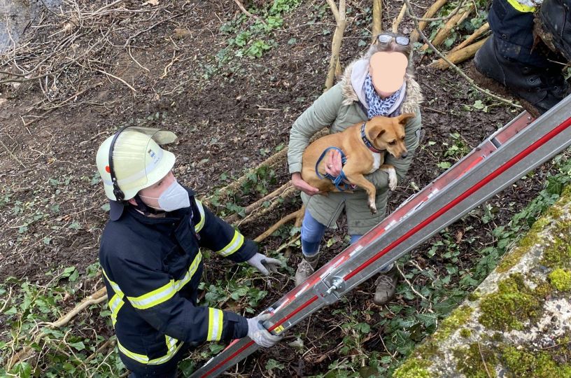 Feuerwehr rettet Hund und Halterin