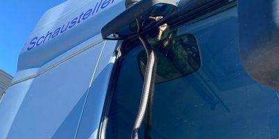 Mainz-Bingen: Schlange in LKW-Fenster eingeklemmt