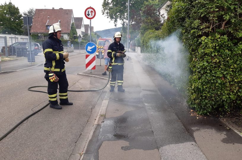 Heckenbrand in Bad Kreuznach