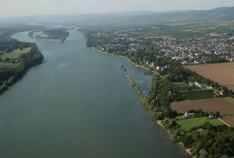 Erhöhter Blaualgenbestand in Rheinkribben