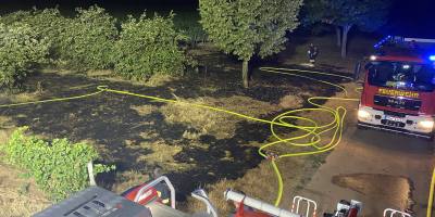 Bad Kreuznach: Weinberg bei Hackenheim fängt Feuer