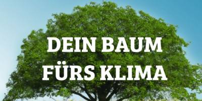 Mainz-Bingen: Bäume fürs Klima in Bingen