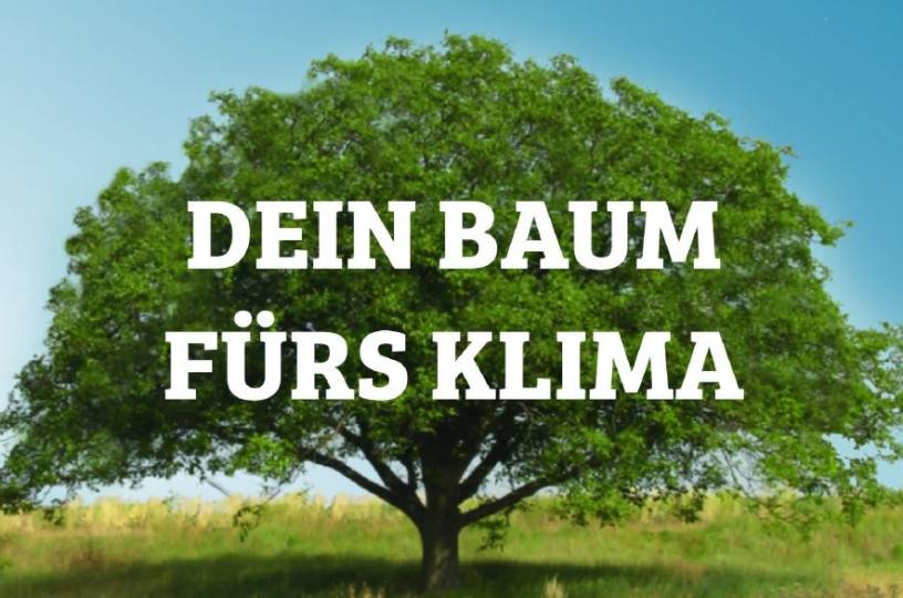 Bäume fürs Klima in Bingen