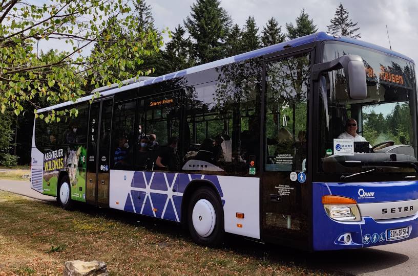 Erste Bilanz zum neuen Birkenfelder Busnetz