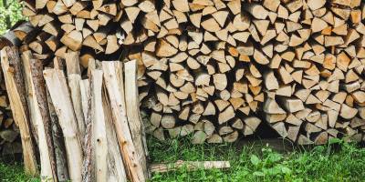 Bad Kreuznach: Festmeter Brennholz wird teurer
