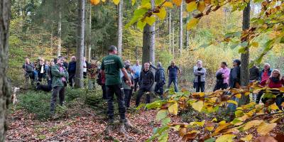Bad Kreuznach: Waldbegehung informiert über Waldzustand