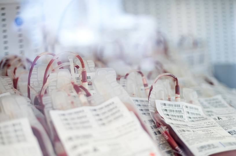 Blutspendedienst schlägt Alarm
