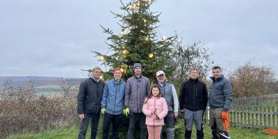 Bad Kreuznach: Weihnachtsbaum auf dem Domberg