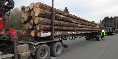 Birkenfeld: Holztransport um 17 Tonnen überladen