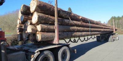 Birkenfeld: Überladene Holztransporter gefährden Verkehr