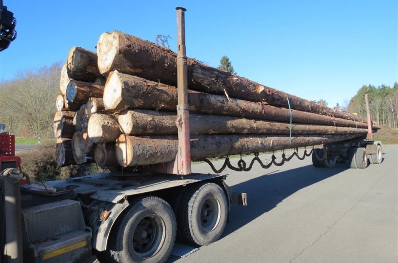 Überladene Holztransporter gefährden Verkehr