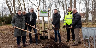 Mainz-Bingen: Neue Bäume für Alzey