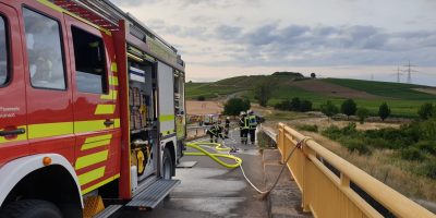 Bad Kreuznach: Wiese in Flammen