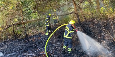 Bad Kreuznach: Feld brennt während der Ernte