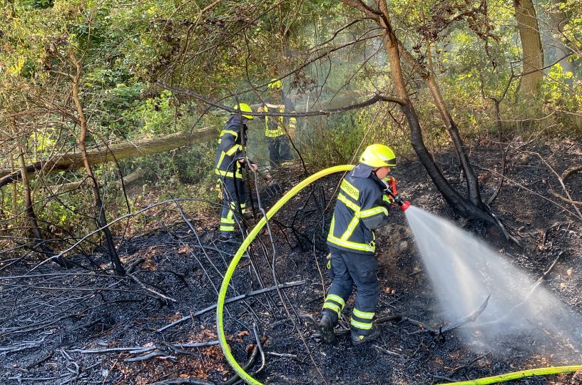 Feld brennt während der Ernte