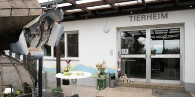Bad Kreuznach: Einigung bei der Fundtierthematik