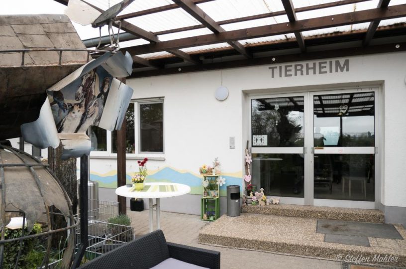 Neue Leitung im Tierheim Bad Kreuznach