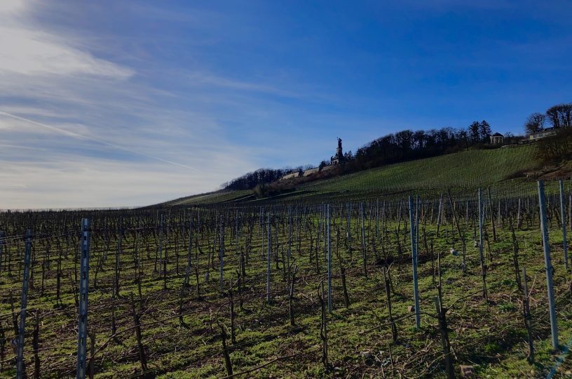 Bombenentschärfung in Rüdesheim am Rhein