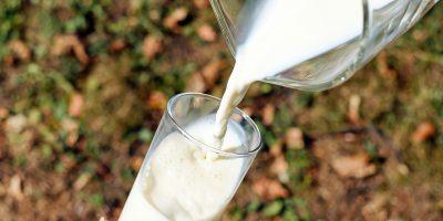 Birkenfeld: Hervorragende Milch aus Reichenbach