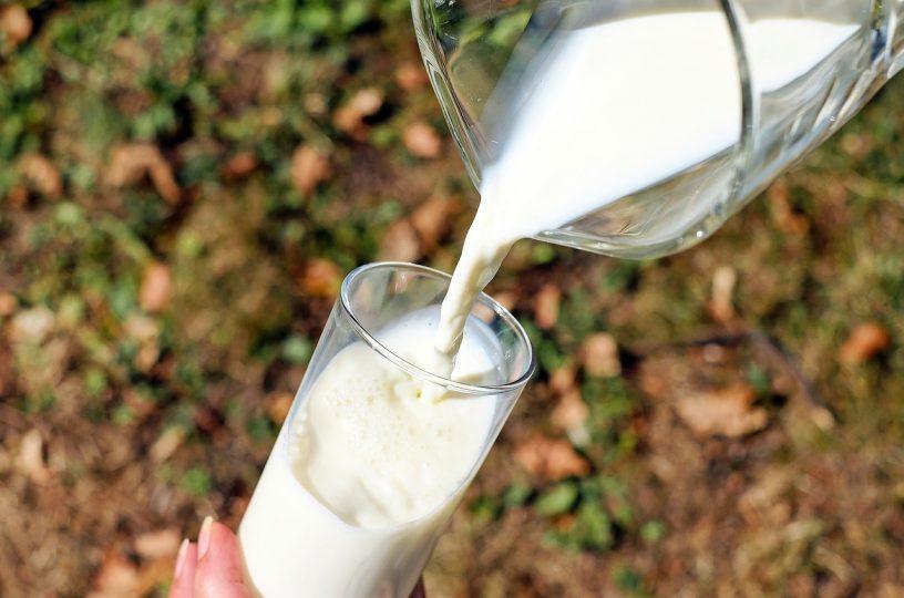 Hervorragende Milch aus Reichenbach