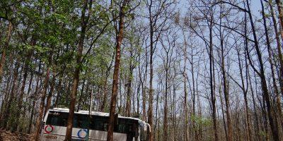 Birkenfeld: Letzte Fahrt des Nationalpark-Erlebnisbusses