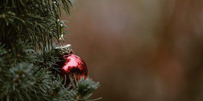 christmas, tree, fir tree