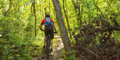 mountain bike, cycling, exercise