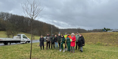 Birkenfeld: Bäume für das Klima