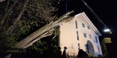 Bad Kreuznach: Baum auf Haus gestürzt