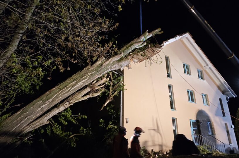 Baum auf Haus gestürzt