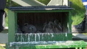 Foto: Westnetz GmbH / Patrick Francois