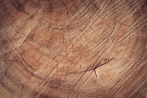 wood, floor, backdrop, background, free wallpaper, wooden, board, wallpaper hd, brown, windows wallpaper, carpentry, wallpaper 4k, 4k wallpaper, decor, hardwood, mac wallpaper, laptop wallpaper, lumber, 4k wallpaper 1920x1080, material, beautiful wallpaper, natural, oak, hd wallpaper, old, brown background, free background, brown wood, cool backgrounds, wood, full hd wallpaper, wood, wood, wood, desktop backgrounds, wood