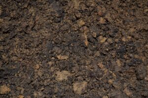 dirt, soil, potting, mix, ground, mud, planting, seedling, nature, garden, agriculture, gardening, earth, plant, growth, land, natural, cultivated, field, grow, sprout, brown, ecology, brown earth, brown garden, brown plant, brown growth, brown gardening, brown field, brown plants, brown natural, dirt, dirt, soil, soil, soil, soil, soil