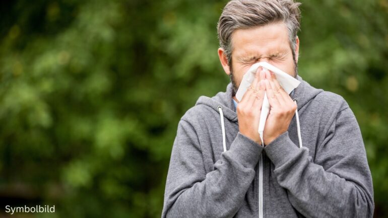 Heuschnupfen Ratgeber