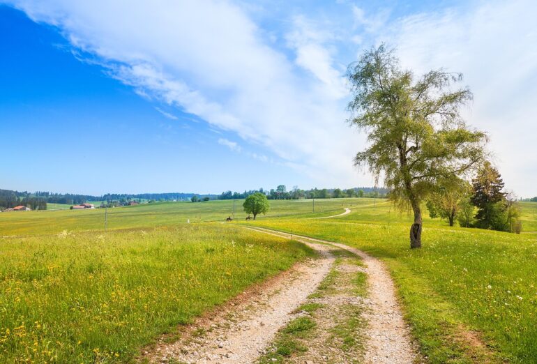 jura hike, equestrian, law, swiss jura, path, trees, trail, nature, equestrian, path, path, path, path, path