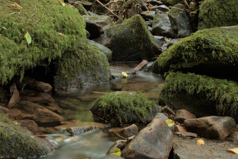 waterfall, bach, moss, stones, long exposure, landscape, nature, waterfall, waterfall, waterfall, waterfall, waterfall, landscape