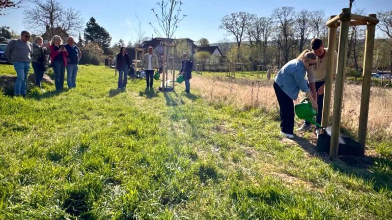 Hochzeitswäldchen Alzey
