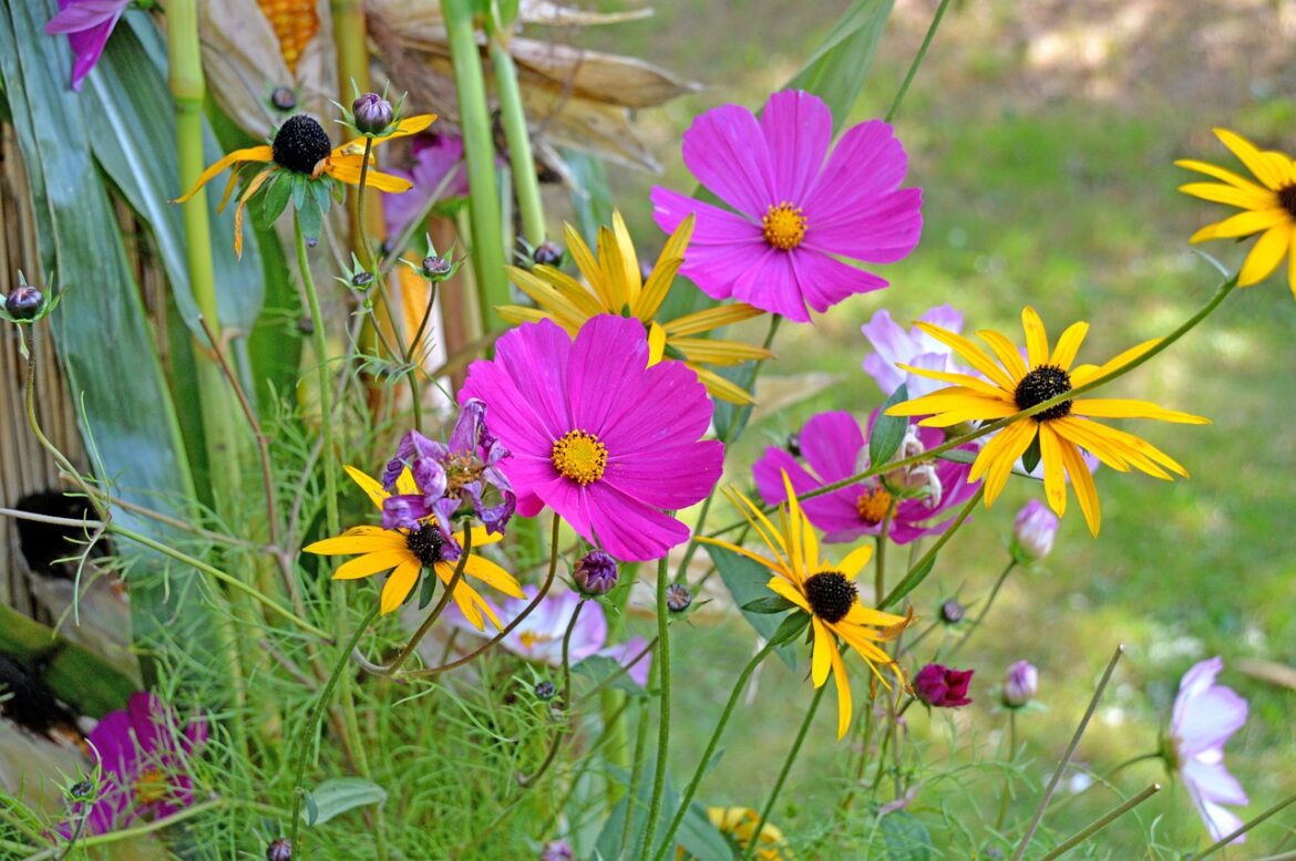 blumen, blumenwiese, bunt, wildblumen, wildflowers, bloom, garden, nature, blossom, colorful, blumen, blumen, bunt, bunt, bunt, bunt, bunt
