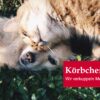 Die Hasenbande