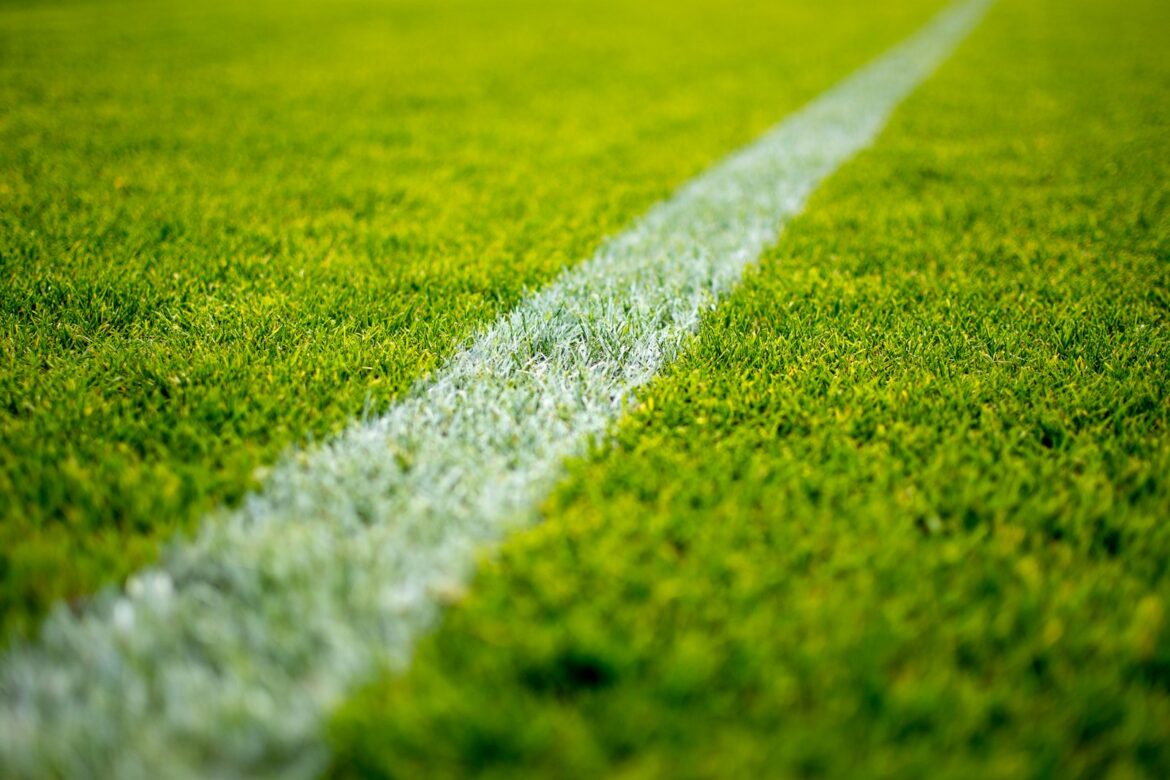 fussball, fuball, regional, nahe, region, green grass field during daytime