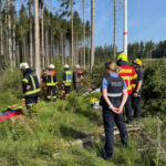 Baumfällarbeiten